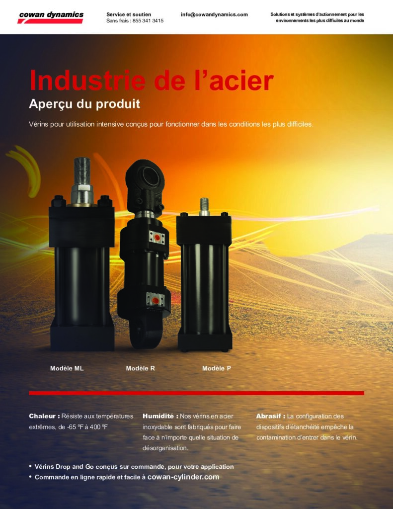 thumbnail of Industrie de l’acier